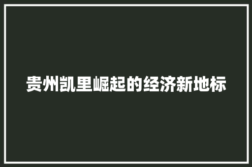 贵州凯里崛起的经济新地标 贵州凯里崛起的经济新地标
