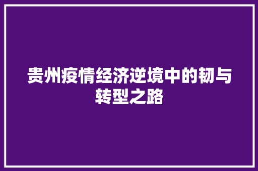 贵州疫情经济逆境中的韧与转型之路 贵州疫情经济逆境中的韧与转型之路