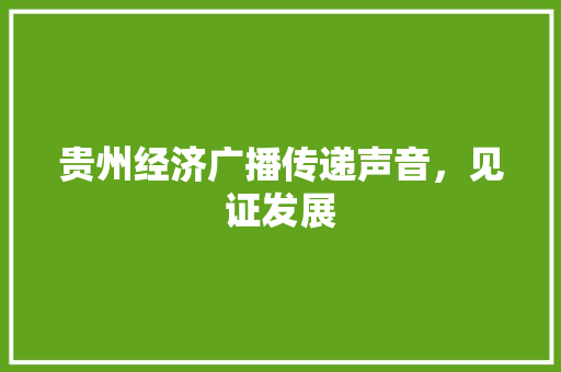 贵州经济广播传递声音,见证发展 贵州经济广播传递声音,见证发展