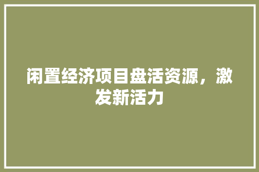 闲置经济项目盘活资源,激发新活力 闲置经济项目盘活资源,激发新活力