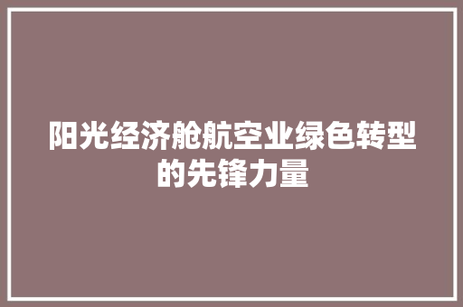 阳光经济舱航空业绿色转型的先锋力量