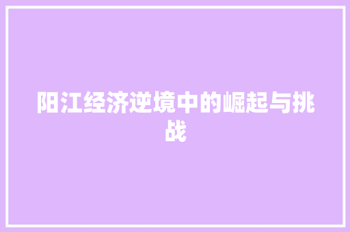 阳江经济逆境中的崛起与挑战