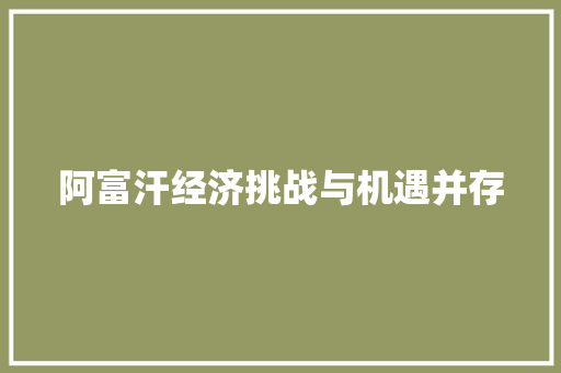 阿富汗经济挑战与机遇并存 阿富汗经济挑战与机遇并存