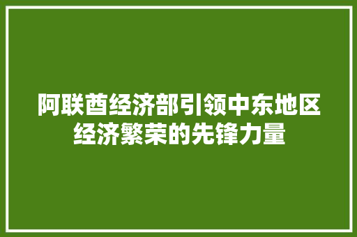 阿联酋经济部引领中东地区经济繁荣的先锋力量 阿联酋经济部引领中东地区经济繁荣的先锋力量