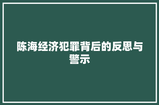 陈海经济犯罪背后的反思与警示 陈海经济犯罪背后的反思与警示