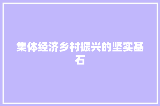 集体经济乡村振兴的坚实基石 集体经济乡村振兴的坚实基石