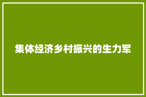 集体经济乡村振兴的生力军 集体经济乡村振兴的生力军