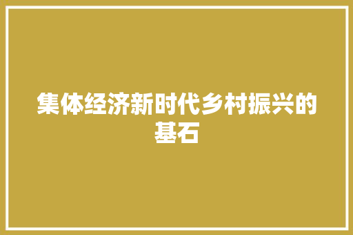 集体经济新时代乡村振兴的基石 集体经济新时代乡村振兴的基石