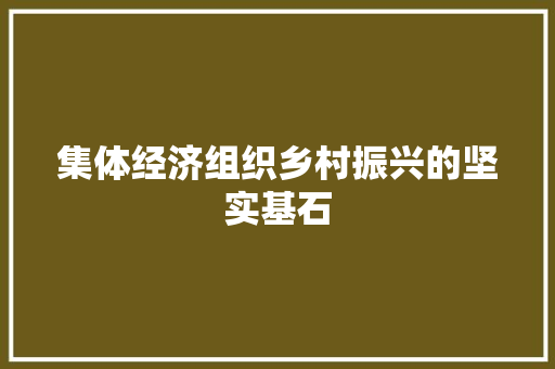 集体经济组织乡村振兴的坚实基石 集体经济组织乡村振兴的坚实基石