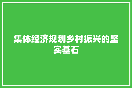 集体经济规划乡村振兴的坚实基石 集体经济规划乡村振兴的坚实基石