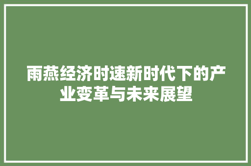 雨燕经济时速新时代下的产业变革与未来展望 雨燕经济时速新时代下的产业变革与未来展望