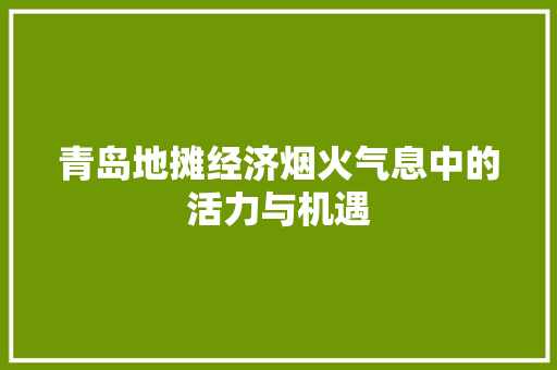 青岛地摊经济烟火气息中的活力与机遇 青岛地摊经济烟火气息中的活力与机遇