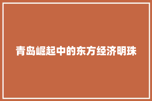 青岛崛起中的东方经济明珠 青岛崛起中的东方经济明珠