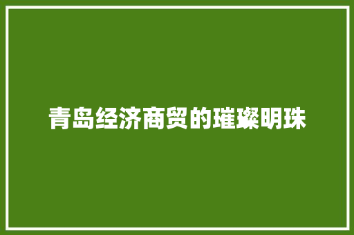 青岛经济商贸的璀璨明珠 青岛经济商贸的璀璨明珠