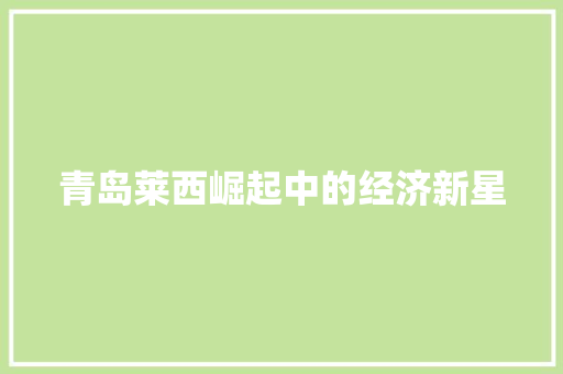 青岛莱西崛起中的经济新星