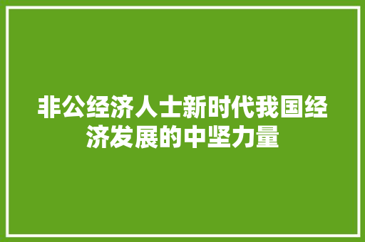 非公经济人士新时代我国经济发展的中坚力量 非公经济人士新时代我国经济发展的中坚力量