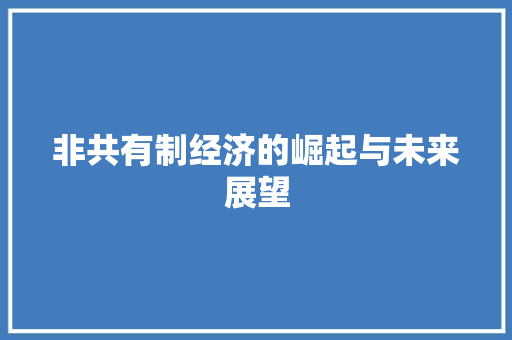 非共有制经济的崛起与未来展望 非共有制经济的崛起与未来展望