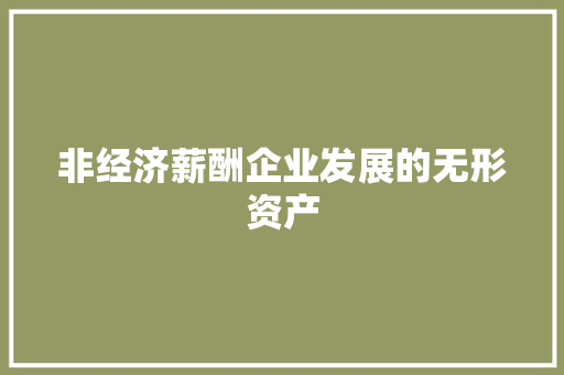 非经济薪酬企业发展的无形资产 非经济薪酬企业发展的无形资产