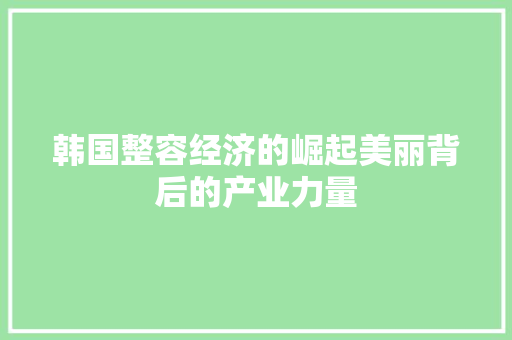 韩国整容经济的崛起美丽背后的产业力量 韩国整容经济的崛起美丽背后的产业力量