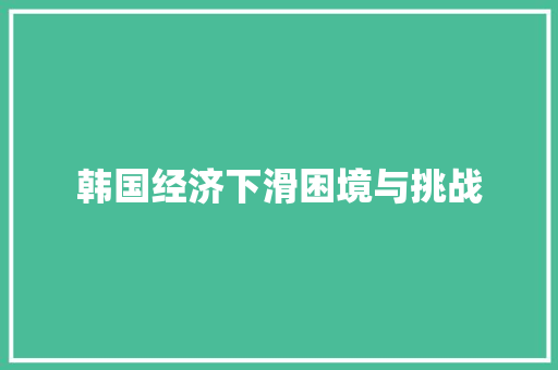 韩国经济下滑困境与挑战 韩国经济下滑困境与挑战