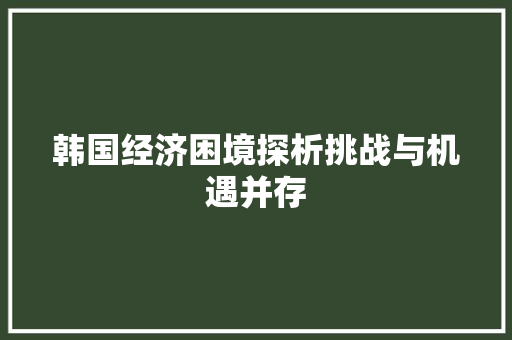 韩国经济困境探析挑战与机遇并存 韩国经济困境探析挑战与机遇并存
