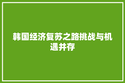 韩国经济复苏之路挑战与机遇并存 韩国经济复苏之路挑战与机遇并存