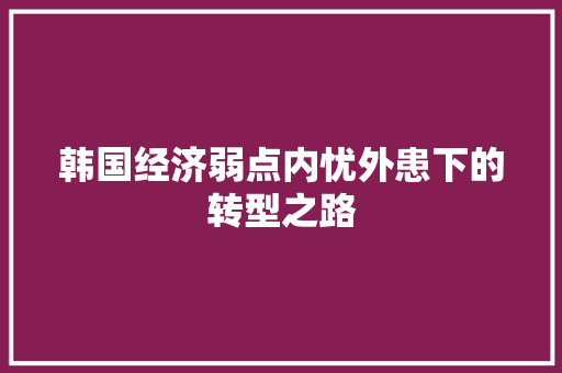 韩国经济弱点内忧外患下的转型之路 韩国经济弱点内忧外患下的转型之路