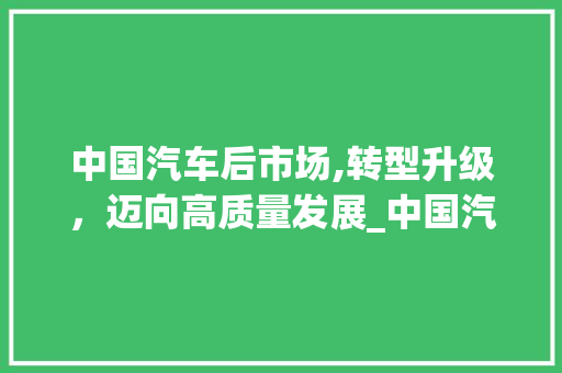 中国汽车后市场,转型升级,迈向高质量发展_中国汽车后市场趋势 中国汽车后市场,转型升级,迈向高质量发展_中国汽车后市场趋势