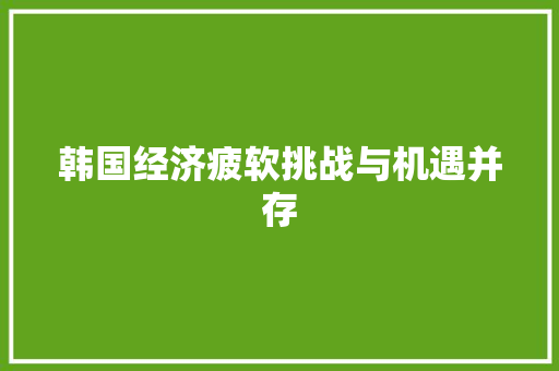 韩国经济疲软挑战与机遇并存 韩国经济疲软挑战与机遇并存