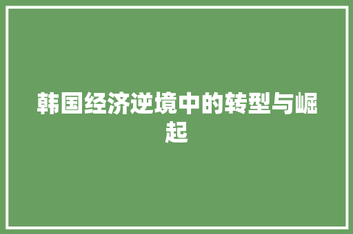 韩国经济逆境中的转型与崛起 韩国经济逆境中的转型与崛起