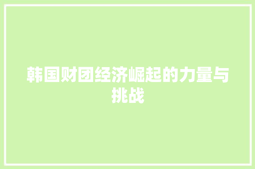 韩国财团经济崛起的力量与挑战 韩国财团经济崛起的力量与挑战