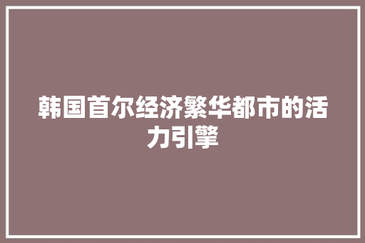 韩国首尔经济繁华都市的活力引擎 韩国首尔经济繁华都市的活力引擎