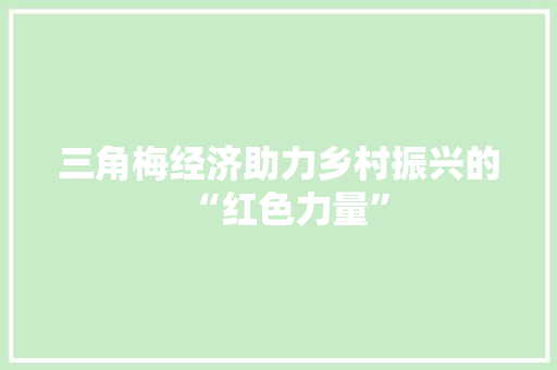 三角梅经济助力乡村振兴的“红色力量” 三角梅经济助力乡村振兴的“红色力量”