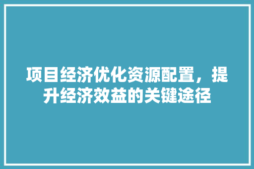 项目经济优化资源配置,提升经济效益的关键途径 项目经济优化资源配置,提升经济效益的关键途径