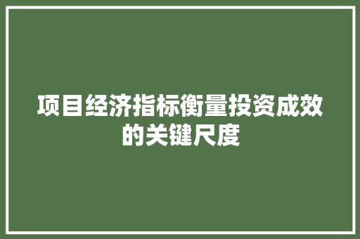 项目经济指标衡量投资成效的关键尺度 项目经济指标衡量投资成效的关键尺度