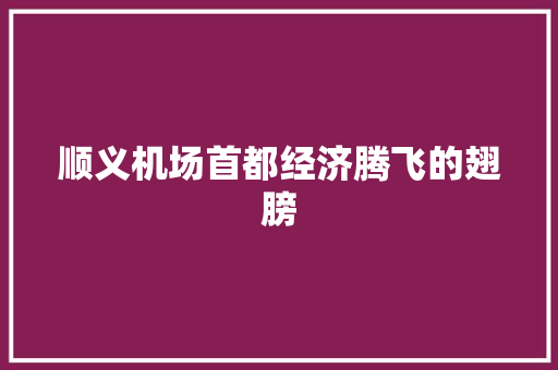 顺义机场首都经济腾飞的翅膀 顺义机场首都经济腾飞的翅膀