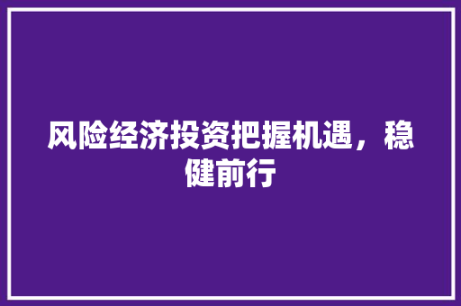 风险经济投资把握机遇,稳健前行 风险经济投资把握机遇,稳健前行