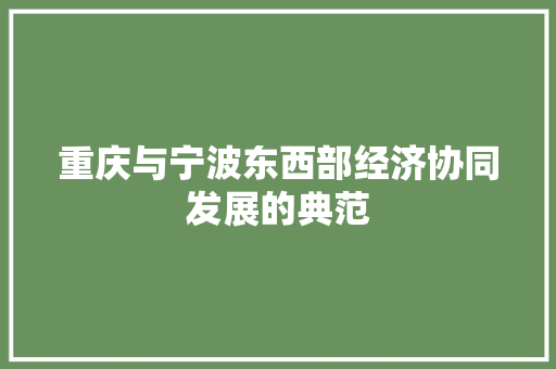 重庆与宁波东西部经济协同发展的典范 重庆与宁波东西部经济协同发展的典范