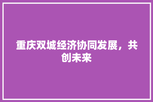 重庆双城经济协同发展,共创未来 重庆双城经济协同发展,共创未来