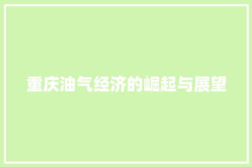 重庆油气经济的崛起与展望 重庆油气经济的崛起与展望