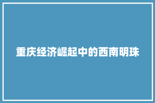 重庆经济崛起中的西南明珠 重庆经济崛起中的西南明珠