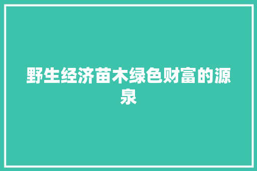 野生经济苗木绿色财富的源泉 野生经济苗木绿色财富的源泉