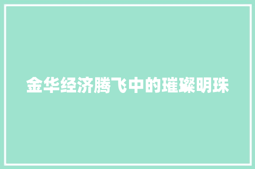 金华经济腾飞中的璀璨明珠 金华经济腾飞中的璀璨明珠