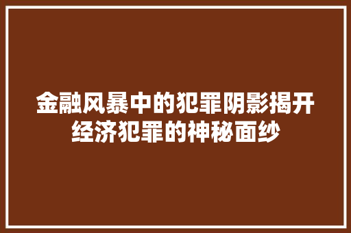 金融风暴中的犯罪阴影揭开经济犯罪的神秘面纱 金融风暴中的犯罪阴影揭开经济犯罪的神秘面纱