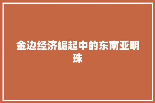 金边经济崛起中的东南亚明珠 金边经济崛起中的东南亚明珠
