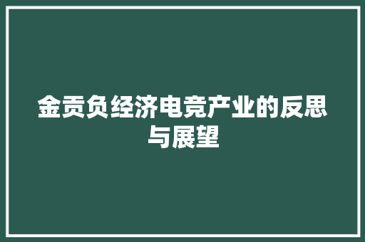 金贡负经济电竞产业的反思与展望 金贡负经济电竞产业的反思与展望