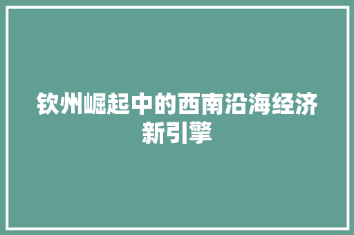 钦州崛起中的西南沿海经济新引擎 钦州崛起中的西南沿海经济新引擎