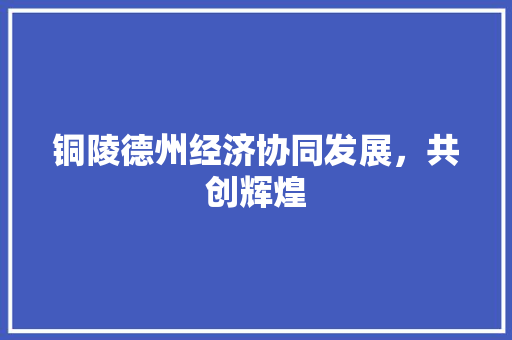 铜陵德州经济协同发展,共创辉煌 铜陵德州经济协同发展,共创辉煌