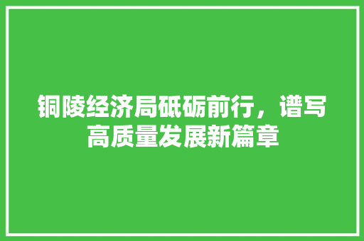 铜陵经济局砥砺前行,谱写高质量发展新篇章 铜陵经济局砥砺前行,谱写高质量发展新篇章