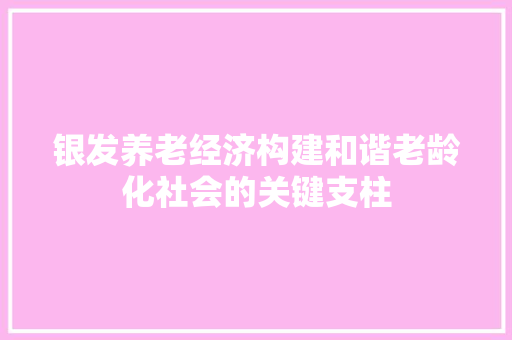 银发养老经济构建和谐老龄化社会的关键支柱 银发养老经济构建和谐老龄化社会的关键支柱